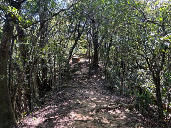 五分山系-望古瀑布段2896305