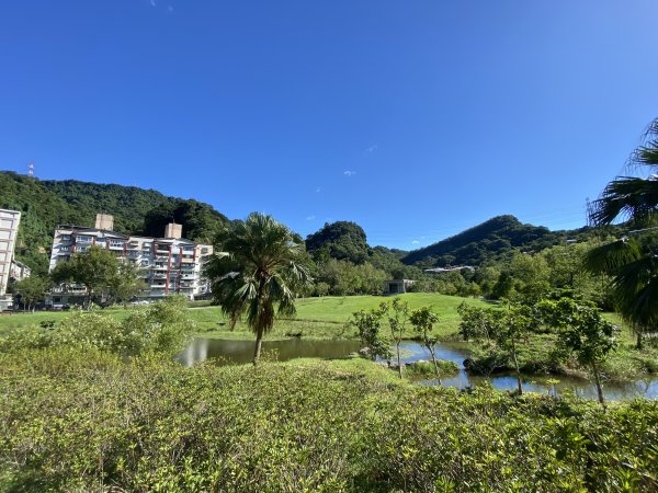 【四獸山攻略】虎豹獅象 O 型環走！完整四獸山輕鬆路線全收錄2906417