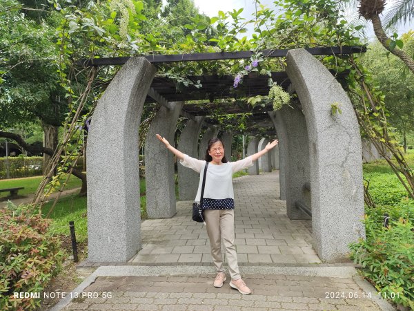 大安森林公園、高記上海料理、北師美術館【走路趣尋寶，全臺齊步走】2526025