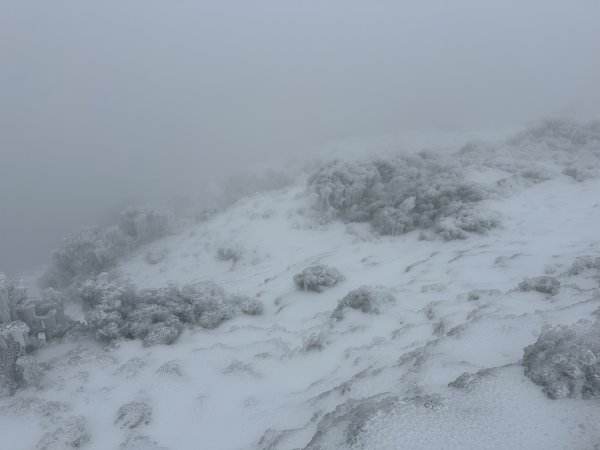 南二段撤退行2743044