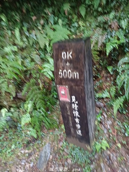 【宜蘭。大同】 最美小徑。 台灣百大必訪步道。 見晴懷古步道1672138