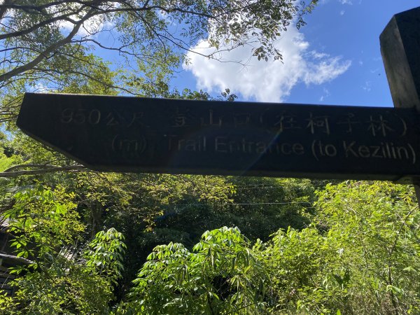 《五指山古道 × 石盤瀑布 × 友蚋山南峰 × 柯子林天然泳池｜尋訪山林古道與靜謐日式庭園》2923005