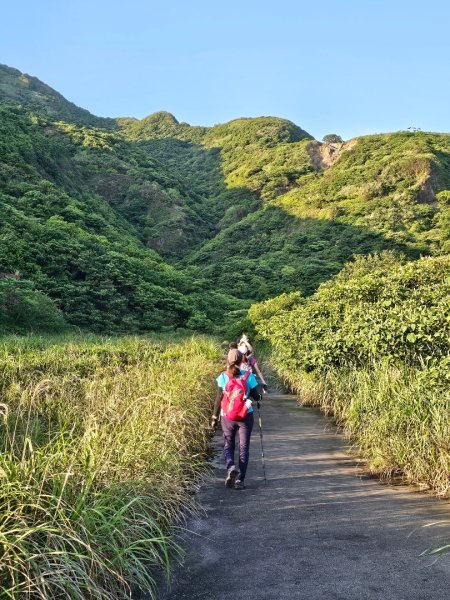 新北 瑞芳 無言的山丘2788511