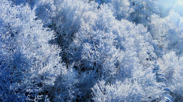 新穗高稜線的時光之索2982080