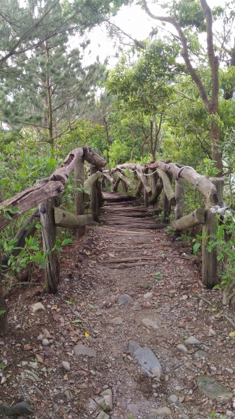 大坑-四號步道44834