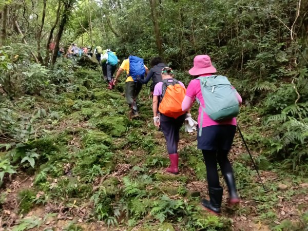 雙溪區大湖尾古道+灣潭古道O型2874800