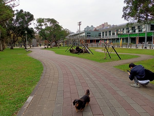 林蔭繁茂、綠草如茵的大湖公園【齊心鞋力尋寶去】1990398