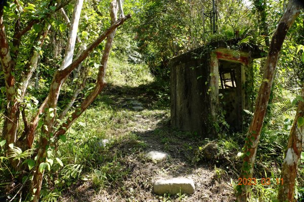 花蓮 豐濱 八里灣山(貓公山、吉拉雅山)2066414