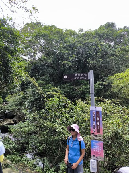 20251108草嶺古道2936126