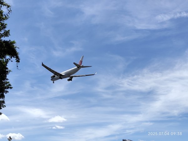 花博公園圓山園區、撫順公園【2025臺北健走趣】2827194