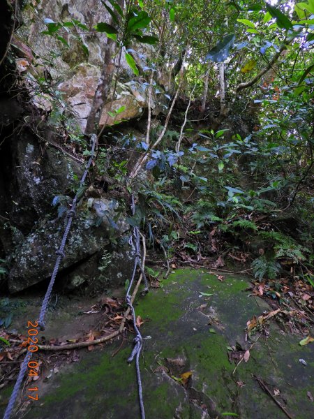 桃園 復興 美腿山、竹頭角山920929