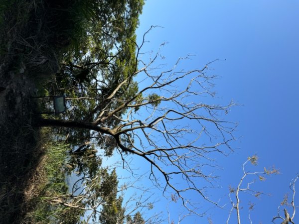 台南市白河區、嘉義縣大埔鄉交界，小百岳63號大棟山ㄧ等三角點2428593