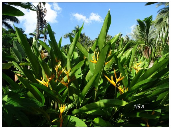 台北/植物園步道686768