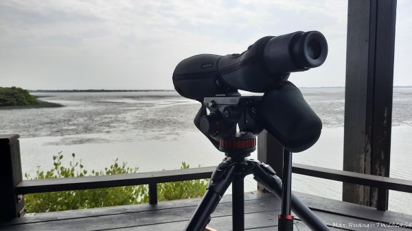 《台南》滄海桑田｜台江內海與黑面琵鷺野生動物保護區2675446