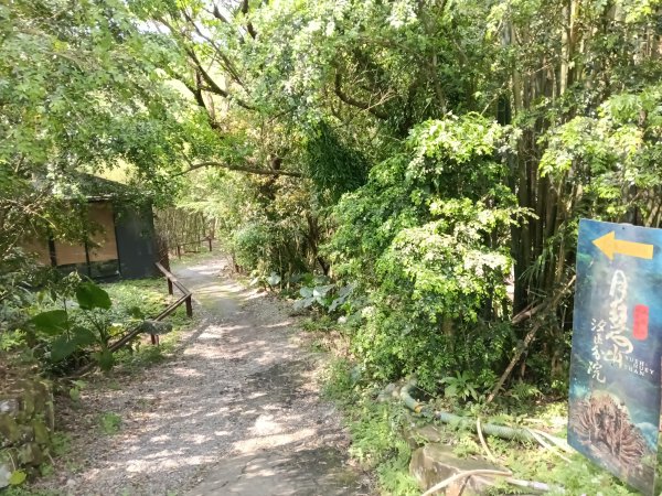 五指山古道+友蚋山南峰2757047