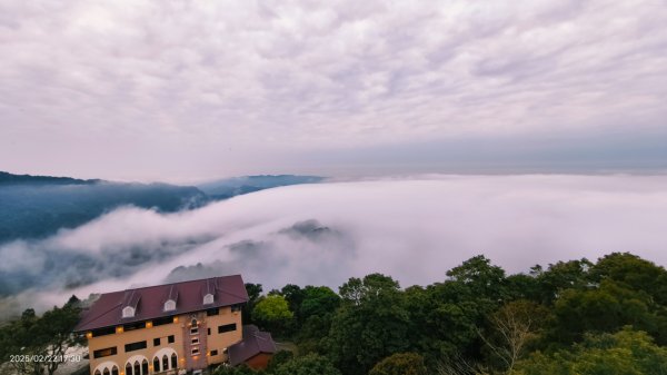 苗栗大湖 #薑麻園 #雲洞山莊 #琉璃光 #雲海 #雲瀑 2/222718325