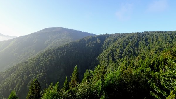 觀霧森林雲霧步道2290330