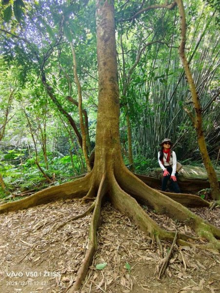 20251216太平山石門山小粗坑山O型+蕃薯藤TINA廚房2972665