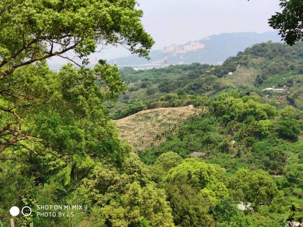 台中后里鳳凰山,觀音山步道563162