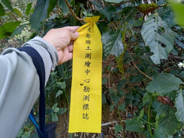 盆貿里山三盆連走2749577