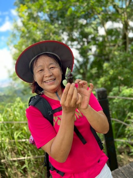 大坑1號和2號步道2826393