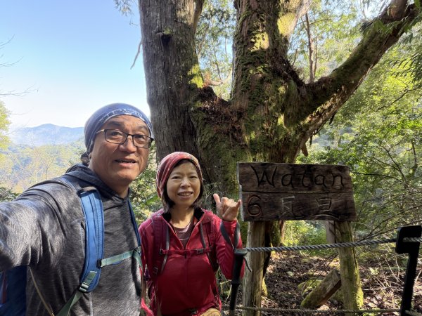 鎮西堡巨木步道B區全段+A區部分3008511