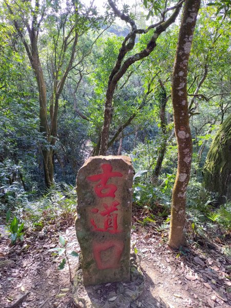 獅潭鳴鳳古道1265369