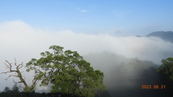 石碇二格山&雲海山&十三股山雲霧飄渺，差強人意雲海+觀音圈2256968