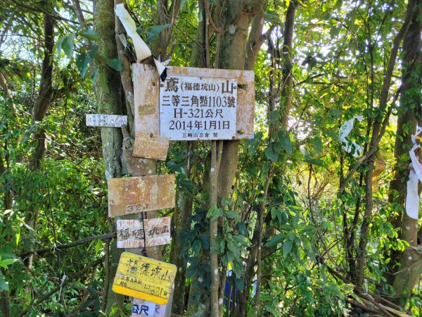 鳶溪縱走(鳶山到大溪老街)1688234