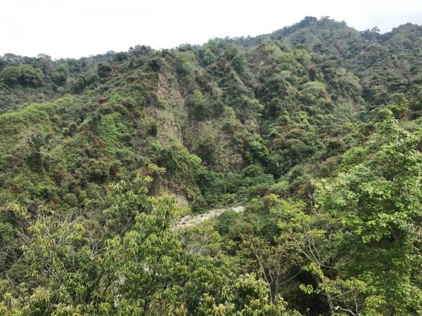 頭嵙山攻頂577435