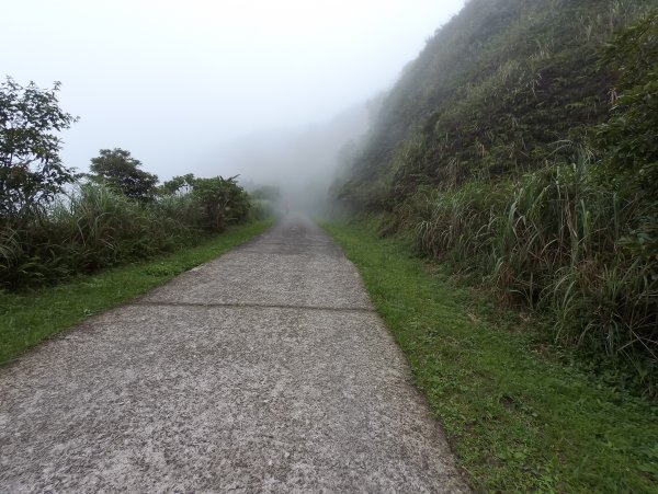 20200525樹梅坪、燦光寮、貂山古道977025