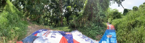 20250906台南合山-觀音山-大坑尾山-臭腳崎山2881447