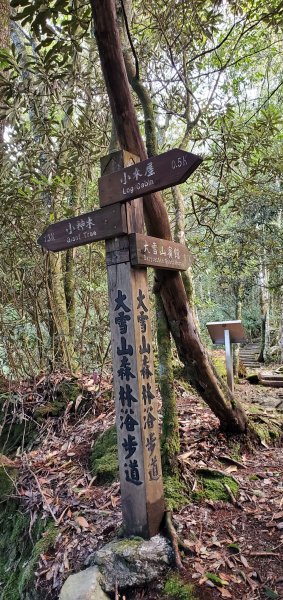 2022-01-09大雪山森林遊樂區森林浴步道1577369