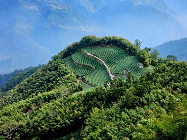 雲嘉大尖山、二尖山步道--(雲林)臺灣百大必訪步道2955769