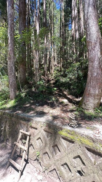 太平之旅 三星山/翠峰湖/見晴2873361
