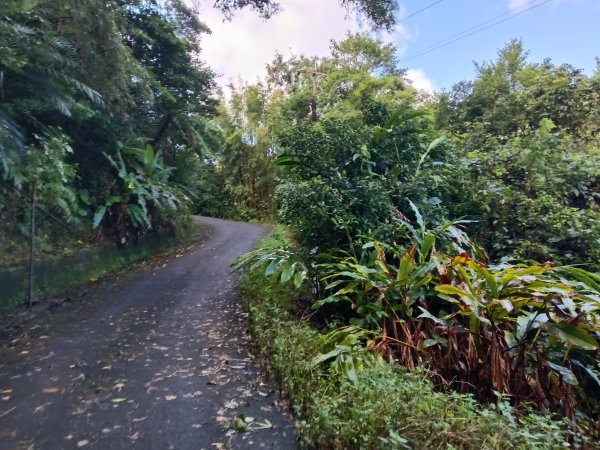 雙溪區雙坪一號橋+盤山坑山+土地公山+474峰+石硿子越嶺古道O型2936386