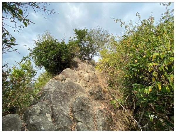 旗靈縱走(旗尾山、福美山、金字面山、人頭山、靈山)2996466