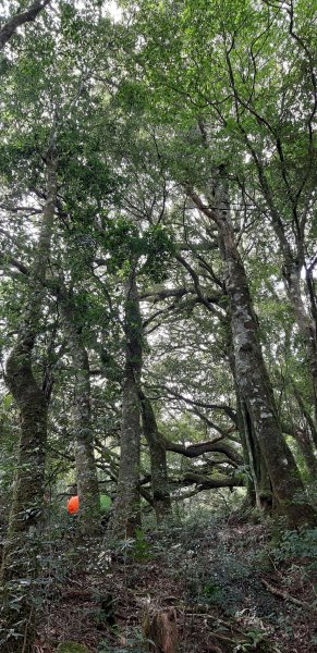 白姑大山之旅743411