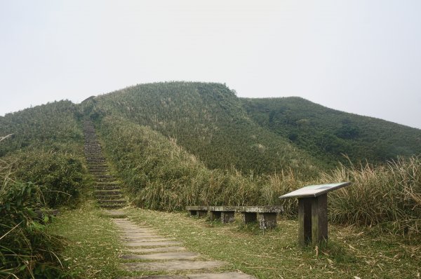 灣坑頭山 桃源谷步道 連走2034829