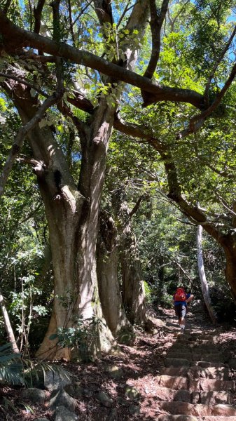 淡水興福寮古道2923325
