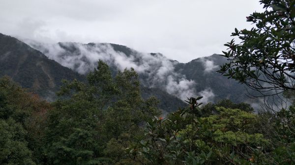 橫白縱走 - 台中 和平 2017 11 12204296