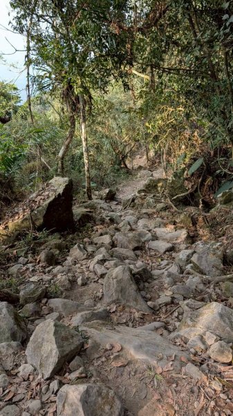 竹仔尖山步道3002516