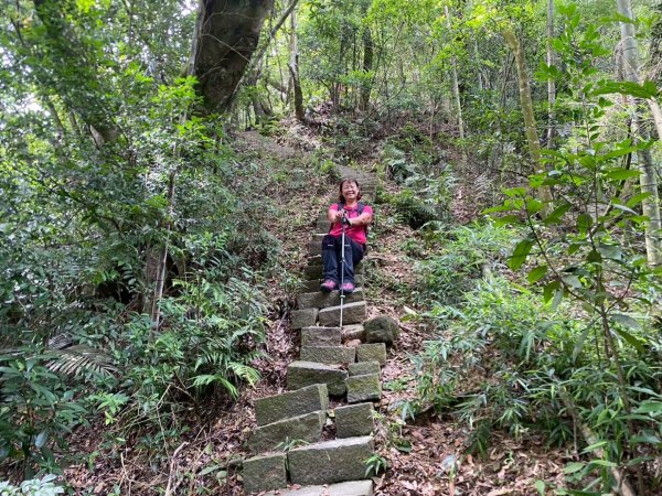 苗栗縣獅潭鄉鳴凰古道O型縱走2803685