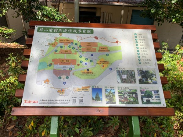 梨山賓館步道875976