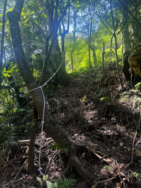 20250601 柑柑柑腳山2801044