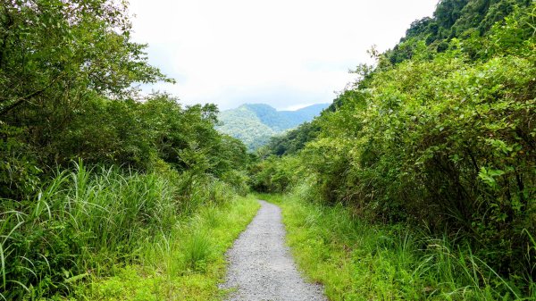 九寮溪自然步道2826879