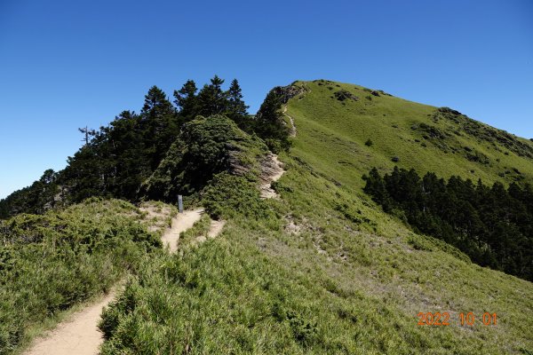 南投 仁愛 合歡西峰1864829