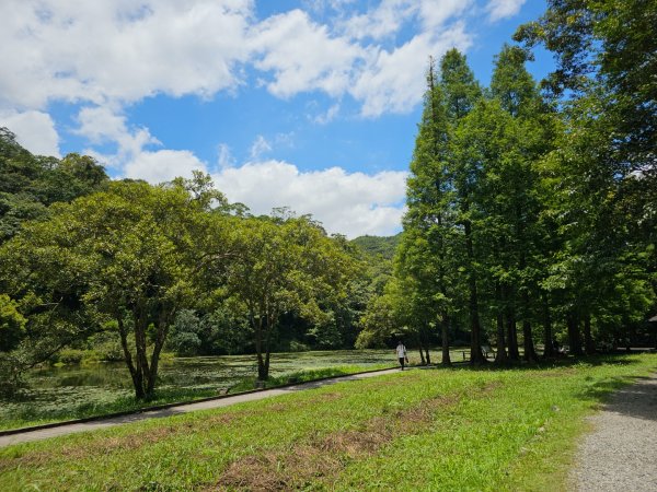 福山植物園 - (宜蘭)臺灣百大必訪步道2557614