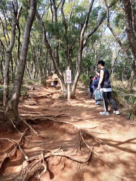 火炎山一日遊798017