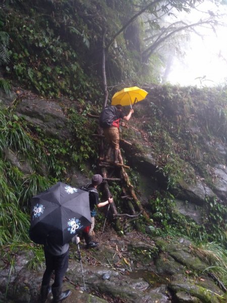 [花蓮中級山] 砂卡噹三雄 清水大山894462